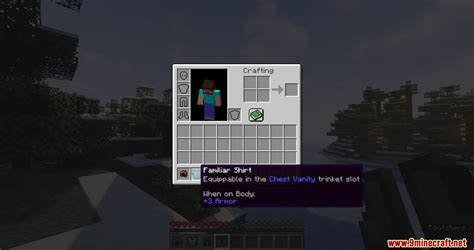 skill vanity mod slot|VanitySlots .